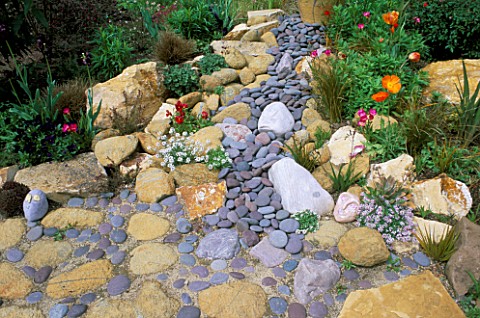 ORANGE_POPPIES_GROWING_IN_A_DRY_CREEK_BED_MADE_WITH_ROCKS_AND_PEBBLES_DESIGNER_KEEYLA_MEADOWS__CALIF
