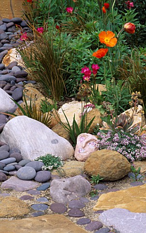ORANGE_POPPIES_GROWING_IN_A_DRY_CREEK_BED_MADE_WITH_ROCKS_AND_PEBBLES_CERAMIC_HEAD_IS_BY_KEEYLA_MEAD