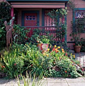 THE FRONT GARDEN WITH SCULPTURE BESIDE WOMEN OF PARADISE POT AND TULIPS. DESIGN BY KEEYLA MEADOWS SAN FRANCISCO