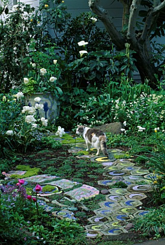 BRIGHTLY_PAINTED_STEPPING_STONES__A_CAT_AND_A_CERAMIC_POT_SURROUNDED_BY_WHITE_MOUNT_TACOMA_TULIPS__D