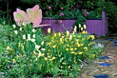 PINK BUTTERFLY BENCH AND WHITE AND YELLOW TULIPS IN KEEYLA MEADOWS GARDEN  SAN FRANCISCO