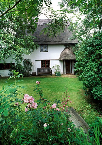 OLD_THATCHED_COTTAGE_IN_PEACEFUL_SPOT_OVERHUNG_BY_TREES_ROSA_OLD_BLUSH_IN_FG__NETHERFIELD_HERB_GARDE