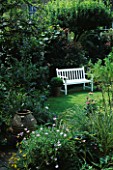 A PLACE TO SIT: SECLUDED WHITE BENCH SEAT ON LAWN WITH SHRUBS AS SCREEN BEHIND