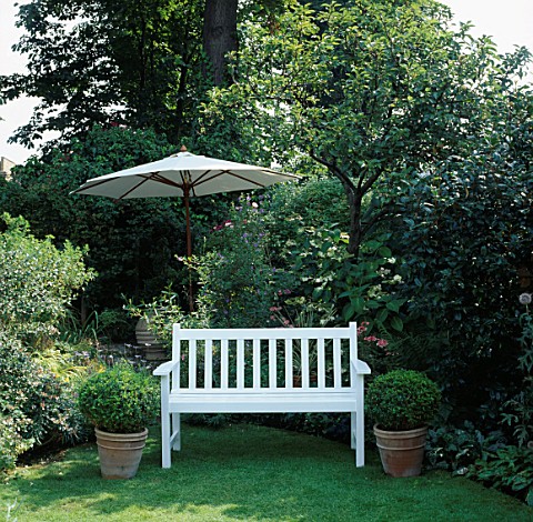 A_PLACE_TO_SIT_SECLUDED_WHITE_BENCH_SEAT_ON_LAWN_WITH_BOX_BALLS_IN_POTS_EITHER_SIDE_SHADY_GARDEN_PAR