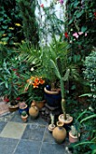 COURTYARD GARDEN: OLIVE JAR  CACTUS  PALM AND ORANGE LILIES IN POTS ON A TILED TERRACE. DESIGNERS: ANDREW AND KARLA NEWELL