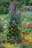NASTURTIUMS AND SWEET PEAS CLAMBER OVER A WICKER TRIPOD AT  THE ROSENDAL GARDEN FESTIVAL IN STOCKHOLM  SWEDEN