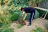 WATER FEATURE STEP-BY-STEP: LOUISE HAMPDEN DIGGING A HOLE IN THE GRAVEL