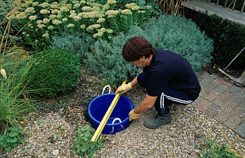 WATER_FEATURE_STEPBYSTEP_LOUISE_HAMPDEN_CHECKS_THAT_THE_BLUE_PLASTIC_BUCKET_IS_LEVEL_USING_A_SPIRIT_