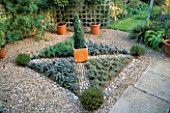 KNOT GARDEN WITH GRAVEL  PEBBLES  PURPLE SAGE  OREGANO  THYMUS SILVER POSIE AND BOX PYRAMID IN A TERRACOTTA POT IN THE CENTRE
