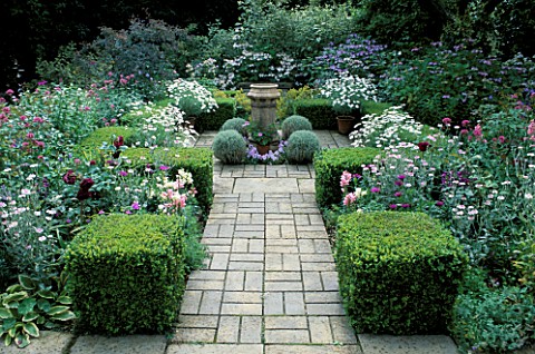 FORMAL_TOWN_GARDEN_CENTRAL_BRICK_PATH_WITH_BOX_CUBES__OSTEOSPERMUM__ENGLISH_ROSES__LYCHNIS__VALERIAN