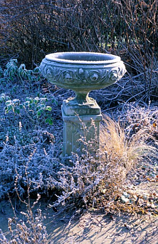 A_LOVELY_STONE_URN_IN_THE_ROSE_GARDEN_ARROW_COTTAGE__HEREFORDSHIRE