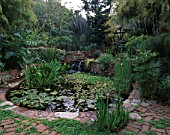 LARGE CIRCULAR POOL SURROUNDED BY LUSH PLANTING INCLUDING PHORMIUMS AND BRONZE FERTILITY GODDESS FOUNTAIN BY MICHELLE MUENNIG IN ROBERT CLARKS SAN FRANCISCO GARDEN