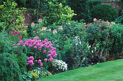 BORDER_WITH_PHLOX_AND_CLEOME_IN_THE_WALLED_GARDEN_AT_WEST_GREEN_HOUSE__HAMPSHIRE