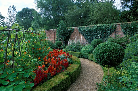 ANTIRHINUMS__CLIPPED_BOX_MOPHEADS_AND_RUNNER_BEANS_IN_THE_WALLED_GARDEN_AT_WEST_GREEN_HOUSE__HAMPSHI