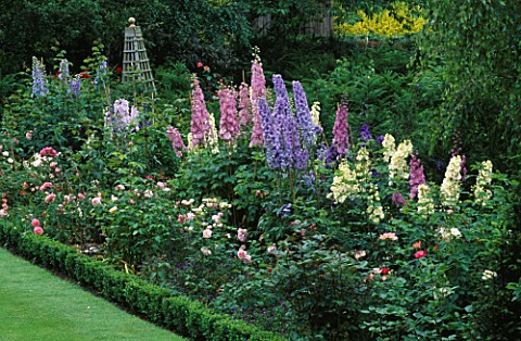 DELPHINIUMS_BUTTERBALL_AND_WHITE_RUFFLES__IN_A_BORDER_AT_THE_ABBEY_HOUSE__WILTSHIRE
