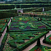 BOX HEDGES  TOPIARY SHAPES AND DWARF DAHLIAS.GARDEN OF LOVE AT CHATEAU DE VILLANDRY