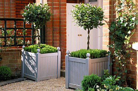 FRONT_GARDEN_CLIPPED_BAYS_PLANTED_IN_SILVER_VERSAILLES_TUBS_WITH_CLIPPED_BOX