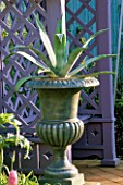 A PEWTERED METAL URN PLANTED WITH AGAVE AMERICANA STANDS IN FRONT OF A BLUE TRELLISED ARBOUR. THE NICHOLS GARDEN  READING