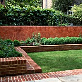 ZIG-ZAG OF RAISED BED WITH BOX BALLS BACKED BY ITALIAN POLISHED PLASTER WALL AND PLEACHED LIMES. MODERNISTS TOWN GARDEN.
