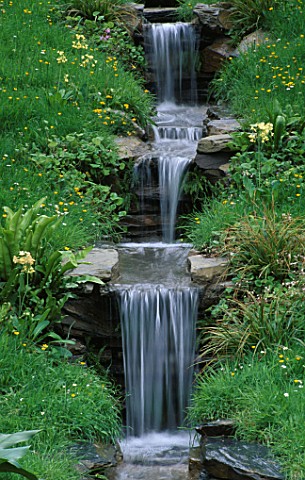 WATER_FEATURE_WATER_CASCADES_THROUGH_MEADOW_WITH_PRIMULA_PULVERULENTA_AND_CAREX_MORROWII_IN_THE_WYEV