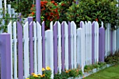 BLUE AND PURPLE TIMBER FENCING WITH MIXED TROPAEOLUMS IN BACKGROUND. GARDENING WHICH/ MET. POLICE A SAFE HAVEN. HAMPTON 1999.