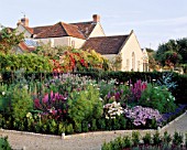 THE HOUSE AT LADY FARM WITH PINK GARDEN IN THE FOREGROUND: COSMOS  GALEGA  SILENE  NICOTIANA SYLVESTRIS. ON THE HOUSE WALL IS ROSE CRIMSON SHOWERS