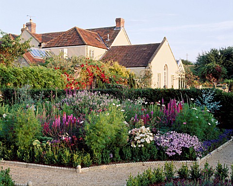 THE_HOUSE_AT_LADY_FARM_WITH_PINK_GARDEN_IN_THE_FOREGROUND_COSMOS__GALEGA__SILENE__NICOTIANA_SYLVESTR