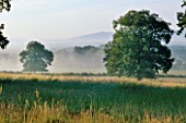 EARLY MORNING MIST ON THE SOUTH DOWNS LOOKING ACROSS THE GRASS TO THE TREES. NYEWOOD HOUSE   WEST SUSSEX.