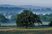 EARLY MORNING MIST ON THE SOUTH DOWNS LOOKING ACROSS THE GRASS TO THE TREES AND HILLS BEYOND. NYEWOOD HOUSE   WEST SUSSEX..
