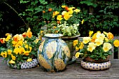GROUP OF POTS PLANTED WITH PANSIES AND HELICHRYSUM PETIOLARE LIMELIGHT ON A WOODEN TABLE IN LISETTE PLEASANCES LONDON GARDEN