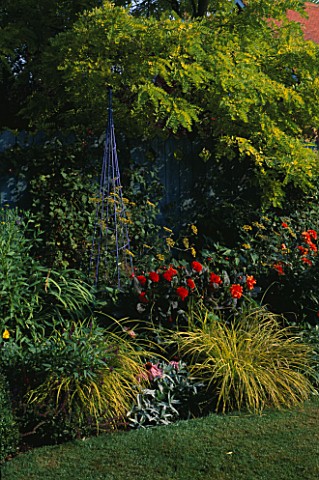 THE_NICHOLS_GARDEN__READING_BLUE_FENCE_AND_METAL_STAND__BRONZE_FENNEL__CAREX_ELATA_BOWLES_GOLDEN__ST