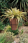 PHORMIUM COOKIANUM IN A TERRACOTTA CONTAINER AND IRON STAND CREATES FOCUS IN THE GRAVEL GARDEN. RALPH GREEN & ROBIN CADES SEASIDE STYLE GARDEN  LONDON.