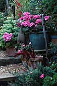 ANTIQUE INDIAN TEMPLE BIRD & OLD GARDENING FORK PROVIDE INTEREST TO A TURQUOISE CERAMIC CONTAINER OF PELARGONIUM VIBRANT. ROBIN GREEN & RALPH CADES SEASIDE STYLE GARDEN  LONDON.