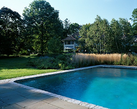 VIEW_ACROSS_SWIMMING_POOL_TOWARDS_HOUSE_WITH_BORDER_OF_CALAMAGROSTIS_ACUTIFLORA_KARL_FOERSTER_DESIGN