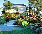 VIEW FROM LAWN ACROSS BORDER WITH QUEEN PALM TOWARDS CURVED WOODEN STEPS AND HOUSE. BILL SMITH AND DENNIS SCHRADERS GARDEN  LONG ISLAND  USA