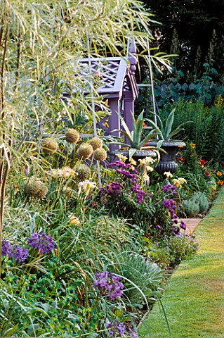 MAUVE_WOODEN_SEATWITH_SILVER_PAINTED_METAL_URNS_PLANTED_WITH_AGAVES_IN_BORDER_ARE_ALLIUM_GIGANTEUM__
