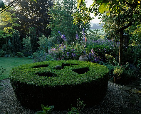BOX_TOPIARY_CIRCLE_AT_THE_WHITE_HOUSE__SUSSEX__BACKED_BY_BLUE_BORDER_WITH_CRETAN_POT_AND_DELPHINIUMS