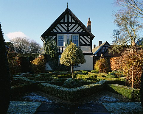 VIEW_ACROSS_THE_FROSTED_KNOT_GARDEN__PAST_TOPIARY_ILEX___TOWARDS_THE_TUDOR_HOUSE_WOLLERTON_OLD_HALL_