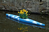 CANOE PAINTED TO RESEMBLE THE SKY AND PLANTED WITH NARCISSUS KING ALFRED. DESIGNED BY IVAN HICKS. GROOMBRIDGE PLACE  KENT.