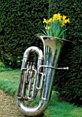 SILVER TUBA PLANTED WITH NARCISSUS TETE-A-TETE. DESIGNED BY IVAN HICKS. GROOMBRIDGE PLACE  KENT.