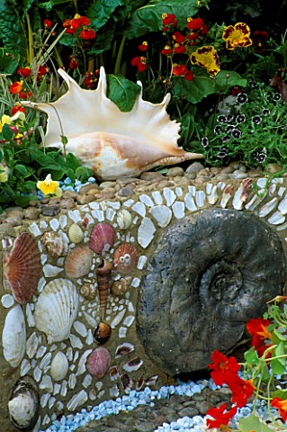 DETAIL_OF_SHELL__FOSSIL_RAISED_BORDER_WITH_LARGE_SHELL__AQUELIGIAS__TROPAEOLUMS__WARREN_FARM_CENTRES