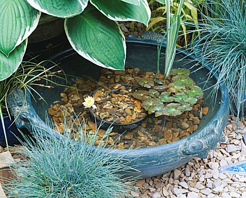 SMALL_TURQUOISE_BOWL_OF_WATER_CREATES_A_MINIATURE_POND_WITH_HOSTA__FESTUCA_AND_NYMPHAEA_GODSTONE_GAR