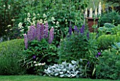 LAUNA SLATTERS GARDEN  OXON: BORDER WITH STACHYS  ACONITUM  LUPINS AND CENTRANTHUS