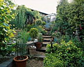 SLOPING GARDEN WITH GRAVEL AND RAILWAY SLEEPER PATH LEADING UP TO A GREENHOUSE. ROBIN GREEN AND RALPH CADES SEASIDE STYLE GARDEN  LONDON