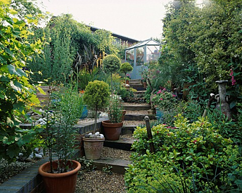 SLOPING_GARDEN_WITH_GRAVEL_AND_RAILWAY_SLEEPER_PATH_LEADING_UP_TO_A_GREENHOUSE_ROBIN_GREEN_AND_RALPH