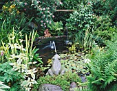 CAROLYN HUBBLES SHROPSHIRE GARDEN. WILDLIFE POND WITH MARBLE FROG  WATERLILIES  FERNS AND IRISES