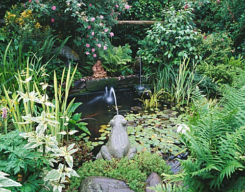 CAROLYN_HUBBLES_SHROPSHIRE_GARDEN_WILDLIFE_POND_WITH_MARBLE_FROG__WATERLILIES__FERNS_AND_IRISES