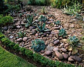 RED GABLES  WORCESTERSHIRE: THE COBBLED GARDEN WITH BOX HEDGING  AGAVES AND ECHEVERIAS