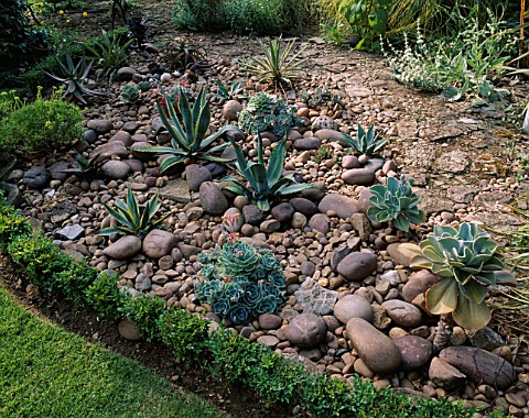 RED_GABLES__WORCESTERSHIRE_THE_COBBLED_GARDEN_WITH_BOX_HEDGING__AGAVES_AND_ECHEVERIAS