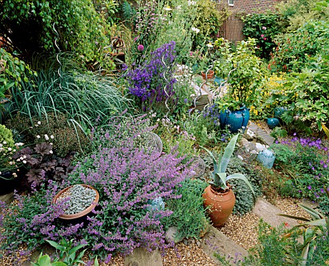 SLOPING_BACK_GARDEN_WITH_GRAVEL_AND_RAILWAY_SLEEPER_PATH__AGAVE_AMERICANA__NEPETA_SIX_HILLS_GIANT_AN